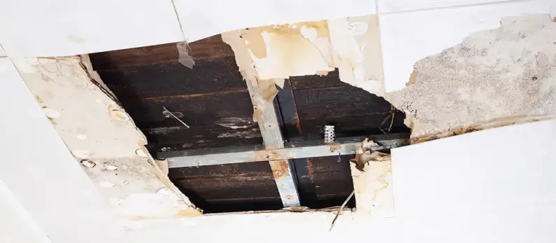 F-110124497-volkovslava-Mon-M-unter-der-Decke