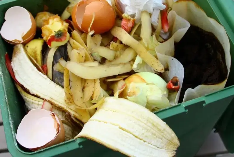 Hausmüll: Bedenklich oder unbedenklich?