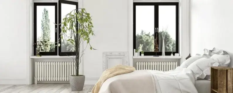 Pflanzen im Schlafzimmer – geht das?