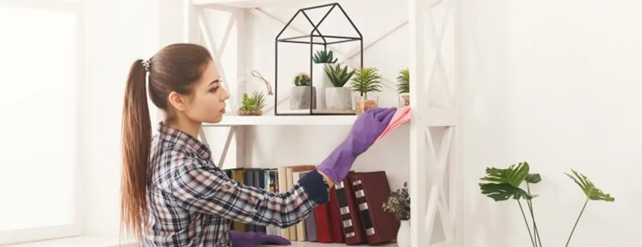 Wie man Schimmel von Möbeln entfernen kann