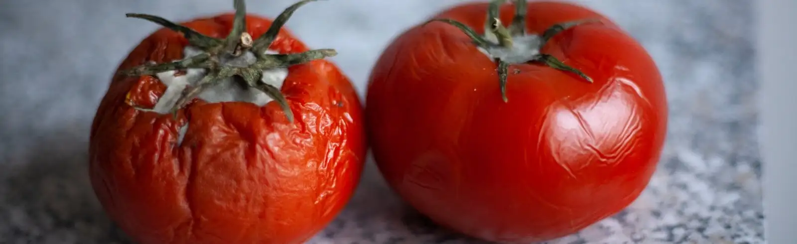 Ab in den Kühlschrank