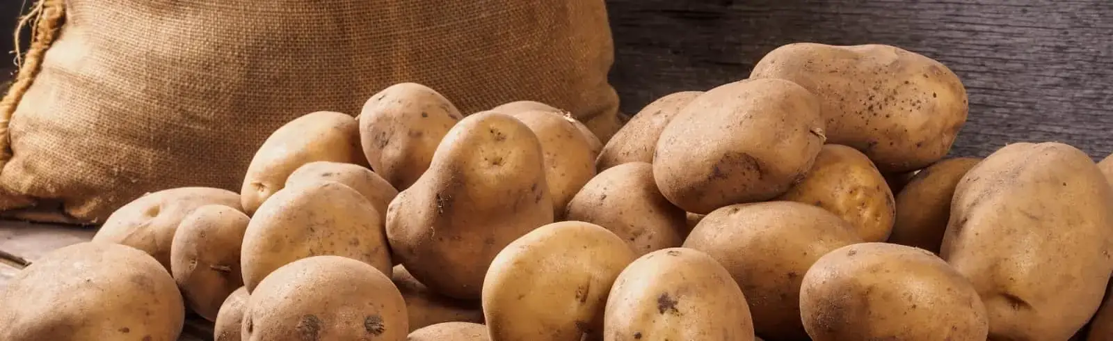 schimmelprotektor_schimmel-im-haus_luftfeuchtigkeit_schimmelentfernung_schimmelgutachten_solingen_blog_ein-ungebetener-kartoffelliebhaber