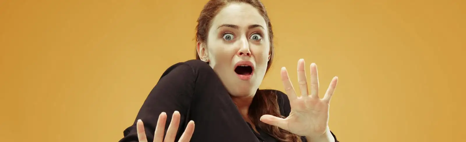 Die Schimmel-Bahn: Peinlicher Name, doch bittere Realität.