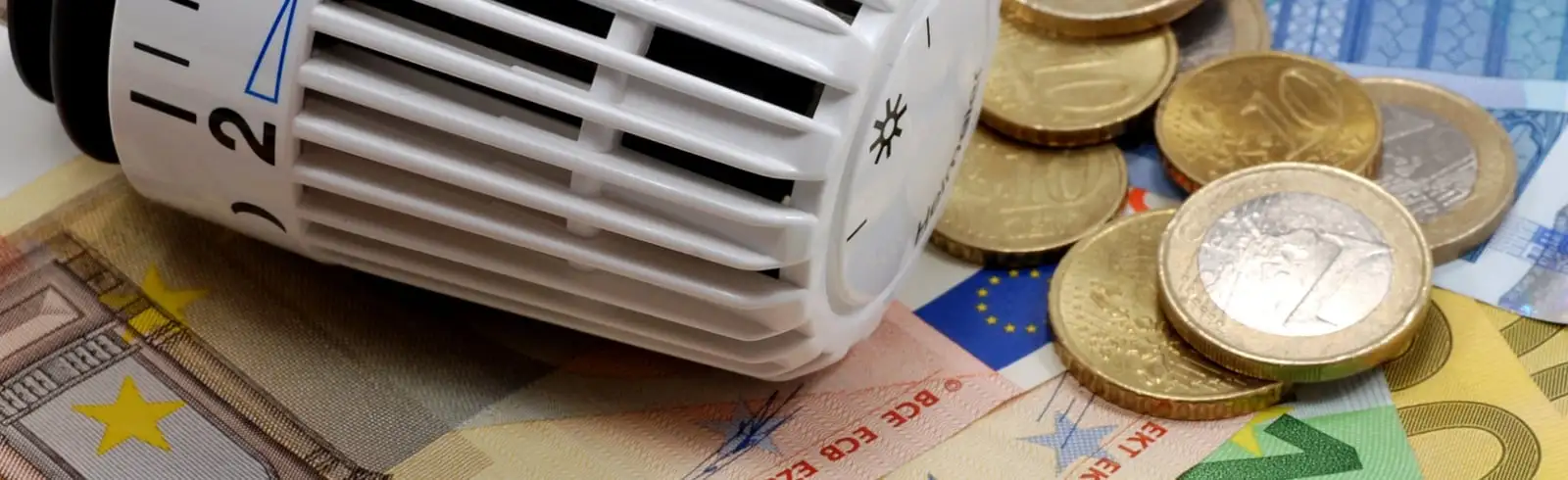 Sie wollen es warm und behaglich, aber Ihr Geld nicht unnötig verheizen?