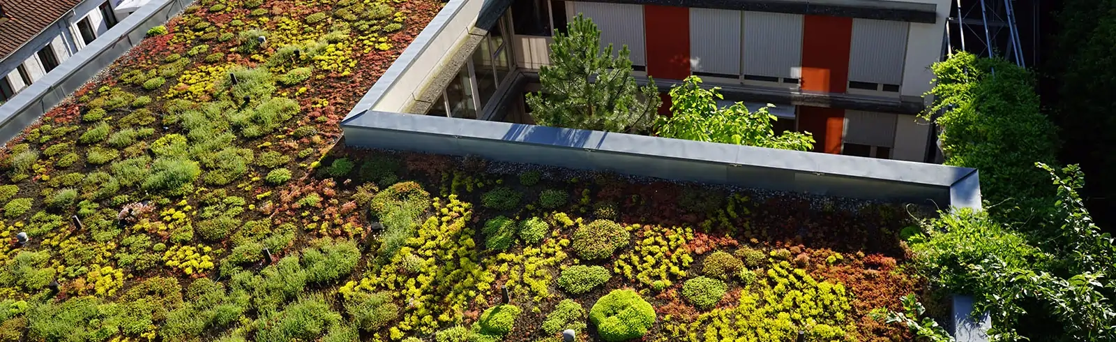 schimmelprotektor_schimmel-im-haus_luftfeuchtigkeit_schimmelentfernung_schimmelgutachten_solingen_blog_klimaschutz_eigentum