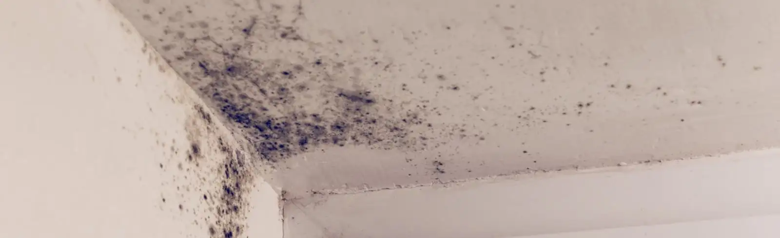 Schimmel an der Decke: verstecktes Problem mit sichtbaren Folgen