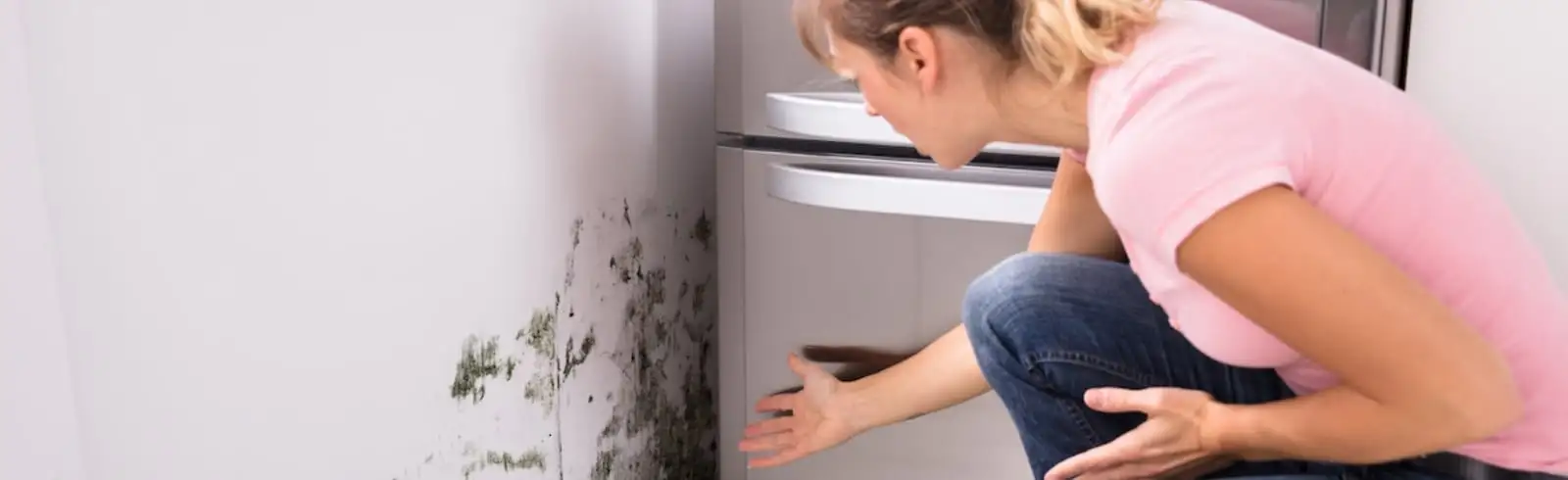 Schimmelwand – verhindern und vernichten