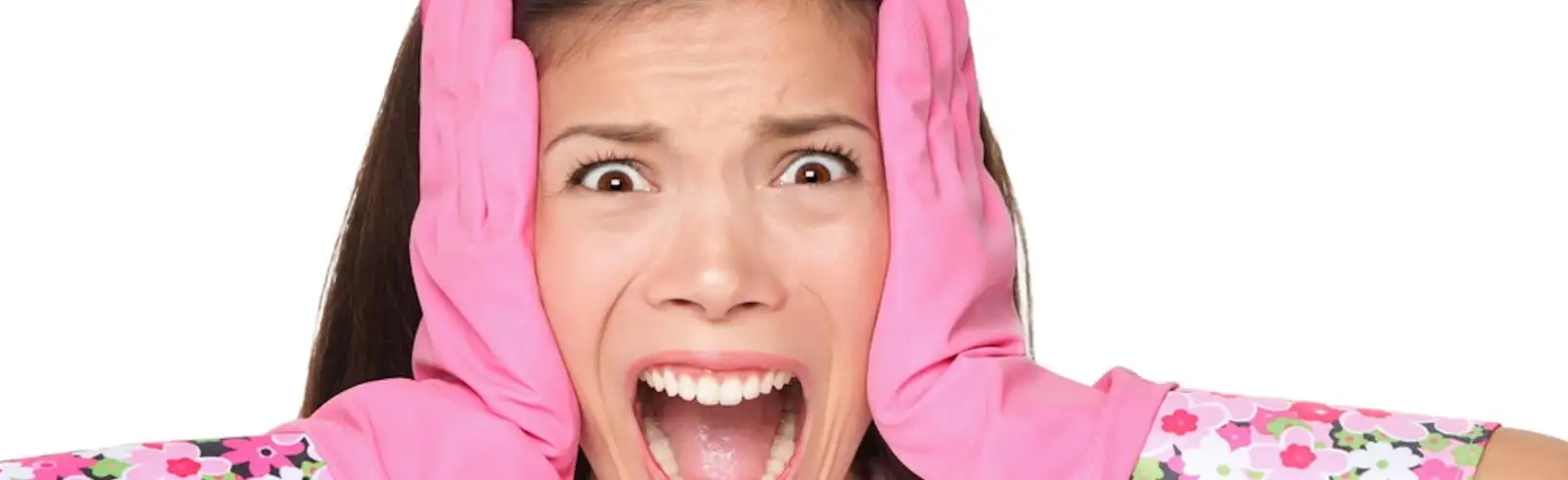 schimmelprotektor_schimmel-im-haus_luftfeuchtigkeit_schimmelentfernung_schimmelgutachten_solingen_blog_schimmel-an-moebeln