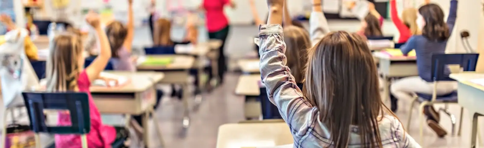 Schimmel in Schulen – eine Gefahr für Kinder und das Gebäude