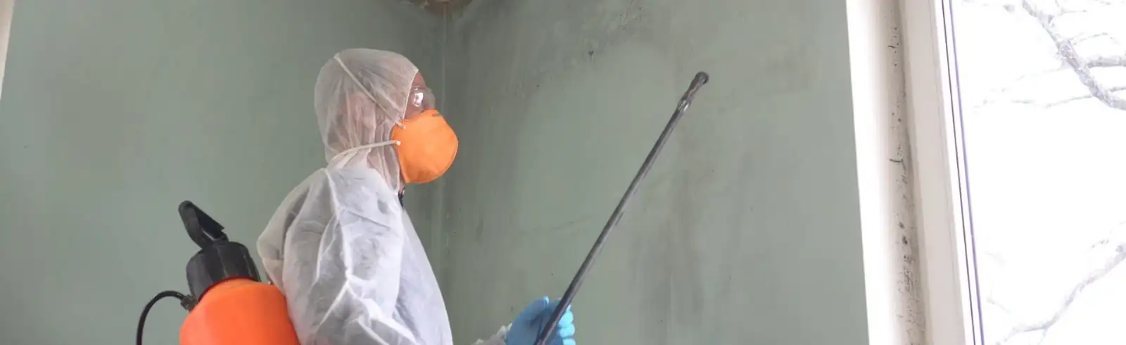 Schimmelpilz ist nicht nur ungesund für die Menschen, sondern kann sich auch schädlich auf Ihr Portemonnaie auswirken