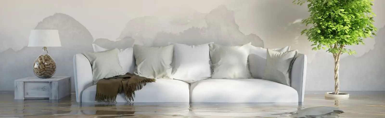 Schimmel unter der/dem Couch/Sofa