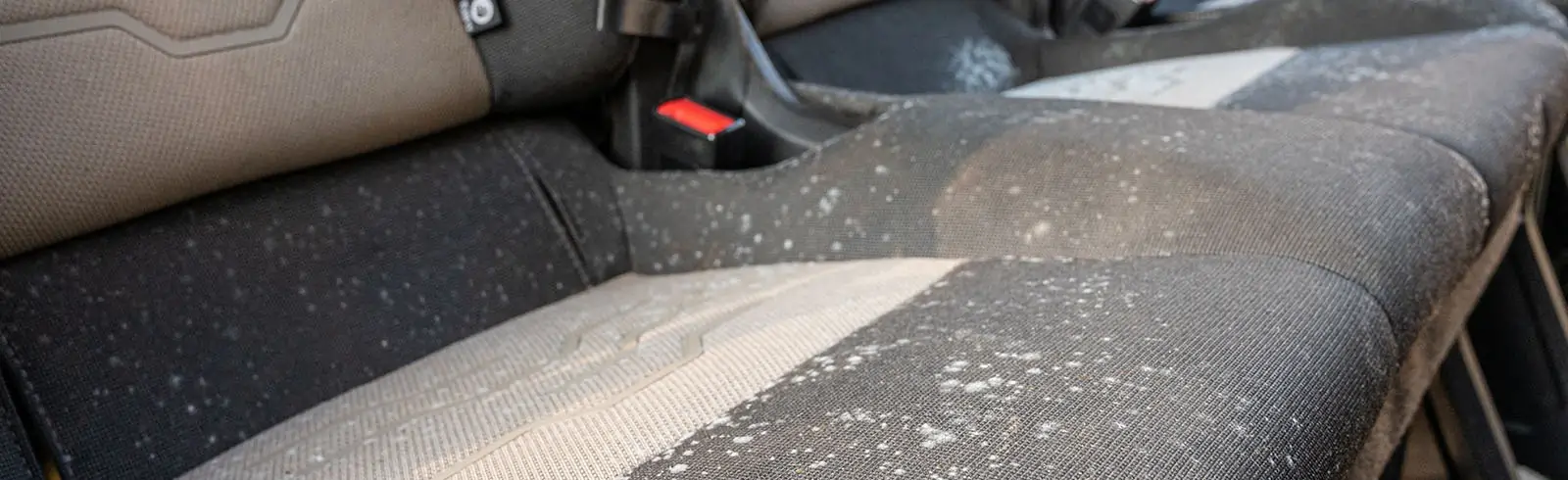 schimmelprotektor_schimmel-im-haus_luftfeuchtigkeit_schimmelentfernung_schimmelgutachten_solingen_blog_schimmel_auto