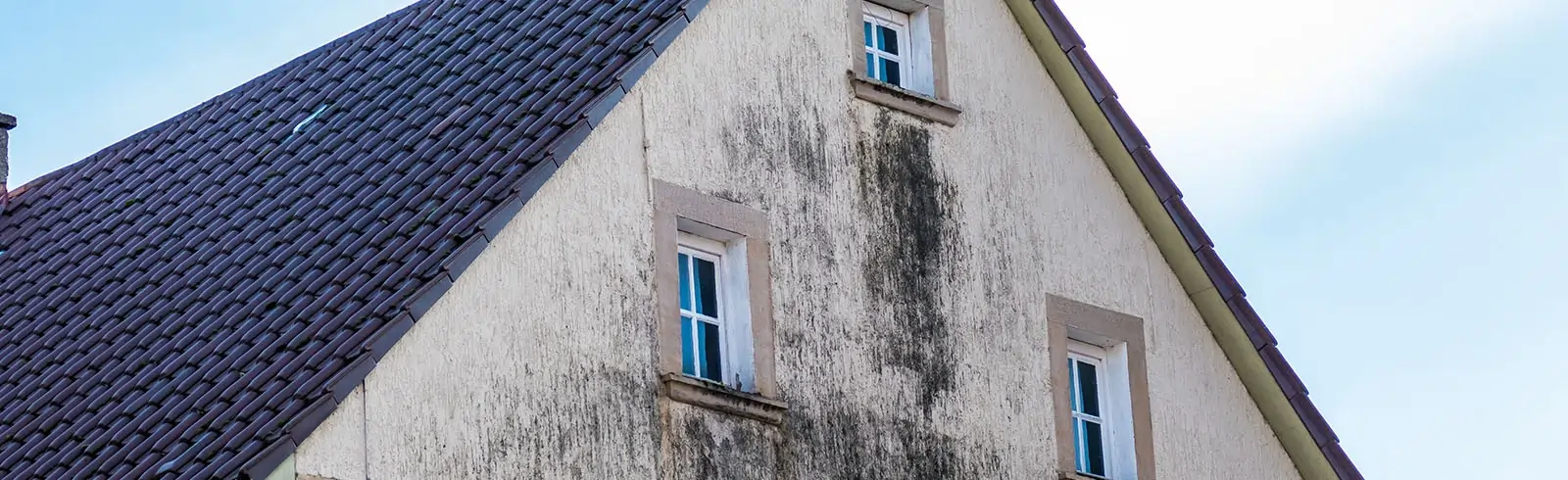 Neue Studie: Schimmel an der Außenwand