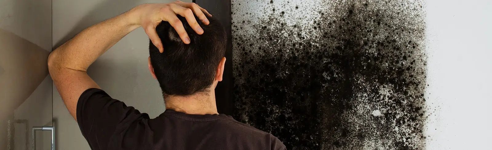 Verrückt: Schimmel hinterm Schrank