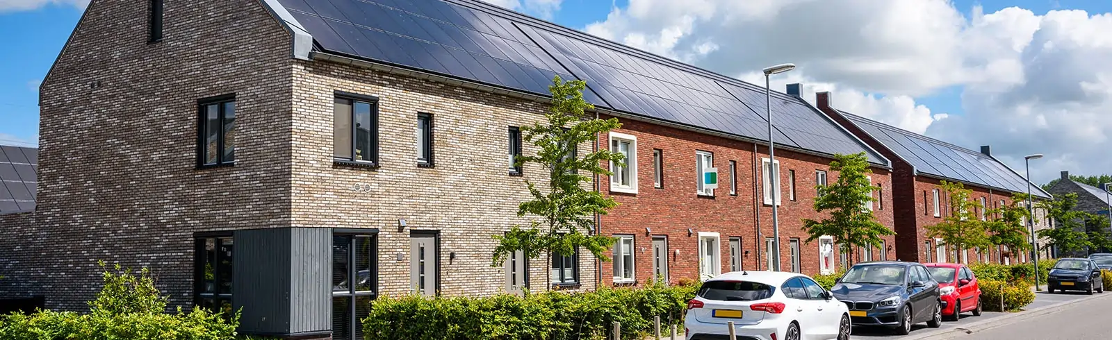 Restlose Schimmelbekämpfung mit Solarenergie