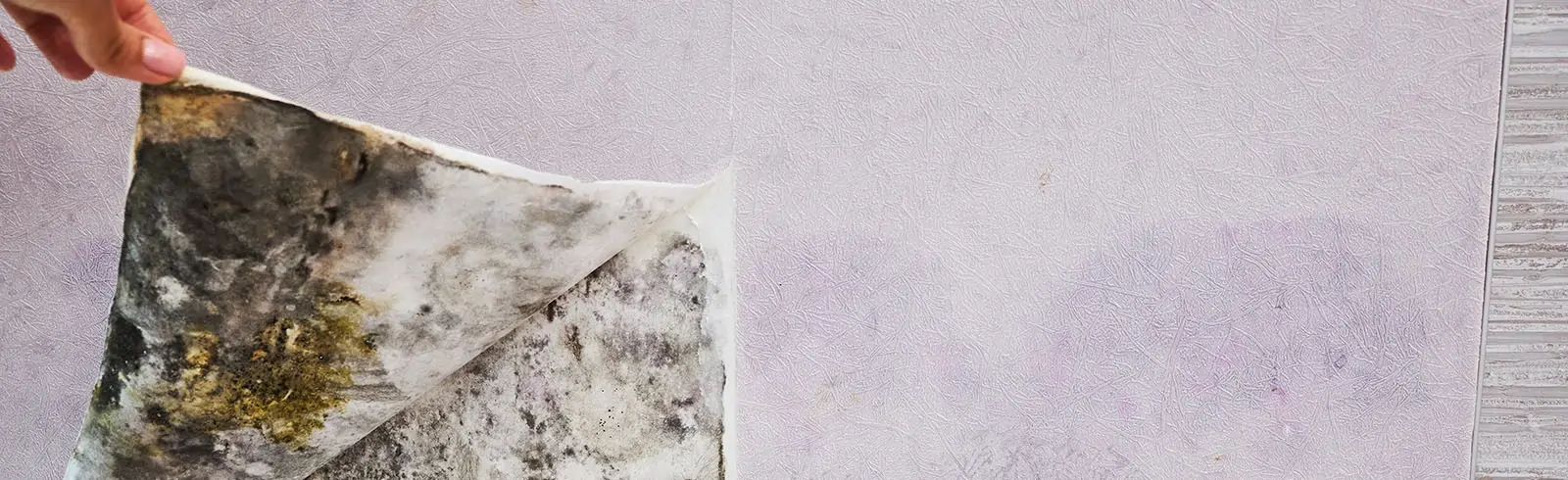 Tapeten und das Dilemma mit dem Schimmel