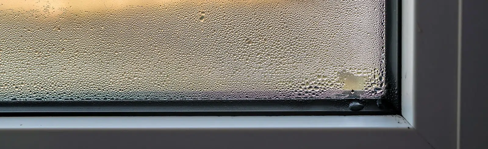 Wann haben Schimmelpilze Saison? Entdecken und entfernen des Parasiten