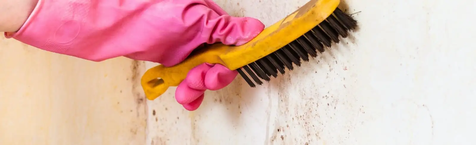 schimmelprotektor_schimmel-im-haus_luftfeuchtigkeit_schimmelentfernung_schimmelgutachten_solingen_blog_schimmelratgeber