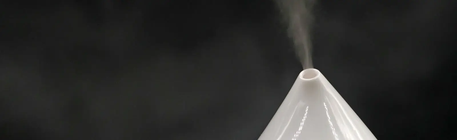 Keimfreier Nebel – Foggern