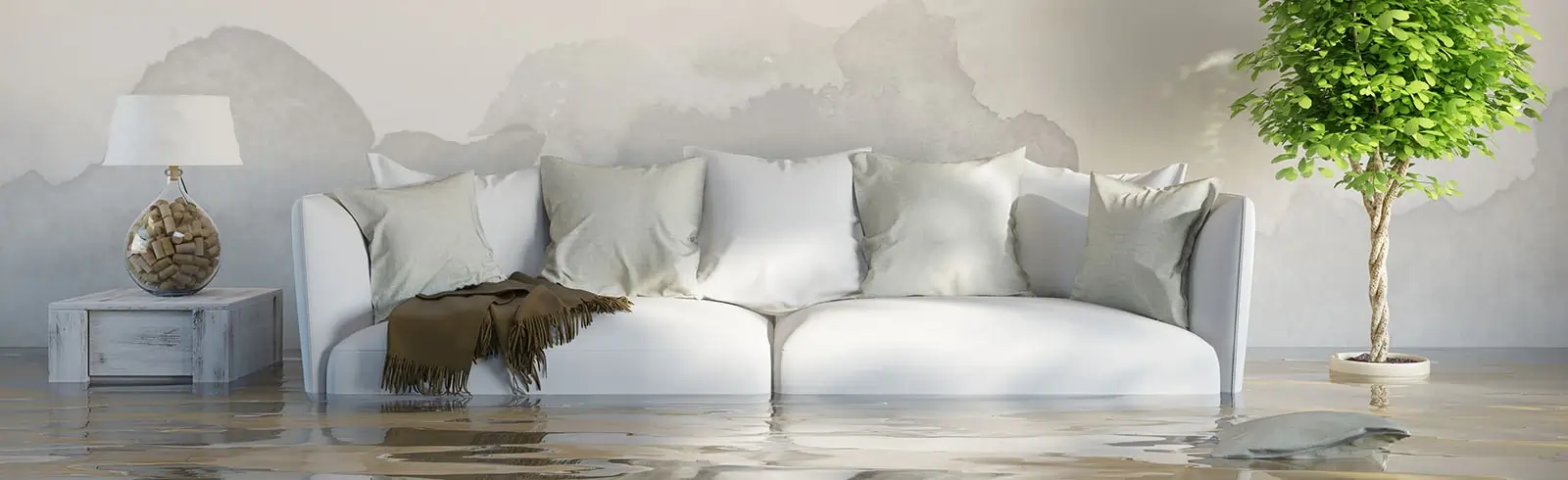 schimmelprotektor_schimmel-im-haus_luftfeuchtigkeit_schimmelentfernung_schimmelgutachten_solingen_blog_wohnung_zu_feucht