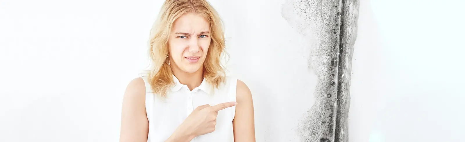 Ich will keinen Schimmel an der Wand! Wie kann ich den Schimmel entfernen?