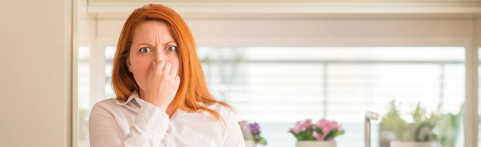 Schimmel in der Wohnung – wie wird man diesen Albtraum los?